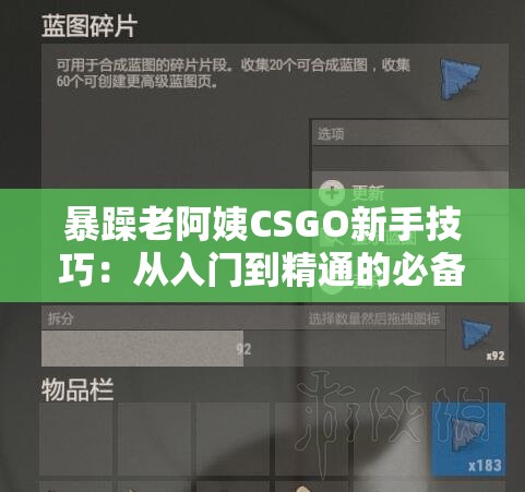 暴躁老阿姨CSGO新手技巧：从入门到精通的必备指南