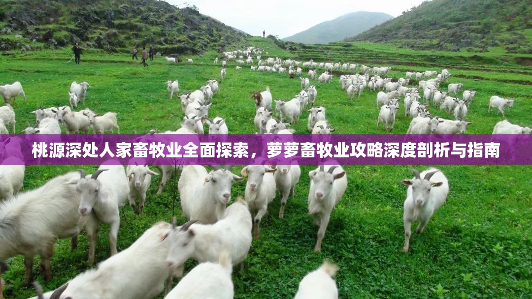 桃源深处人家畜牧业全面探索，萝萝畜牧业攻略深度剖析与指南