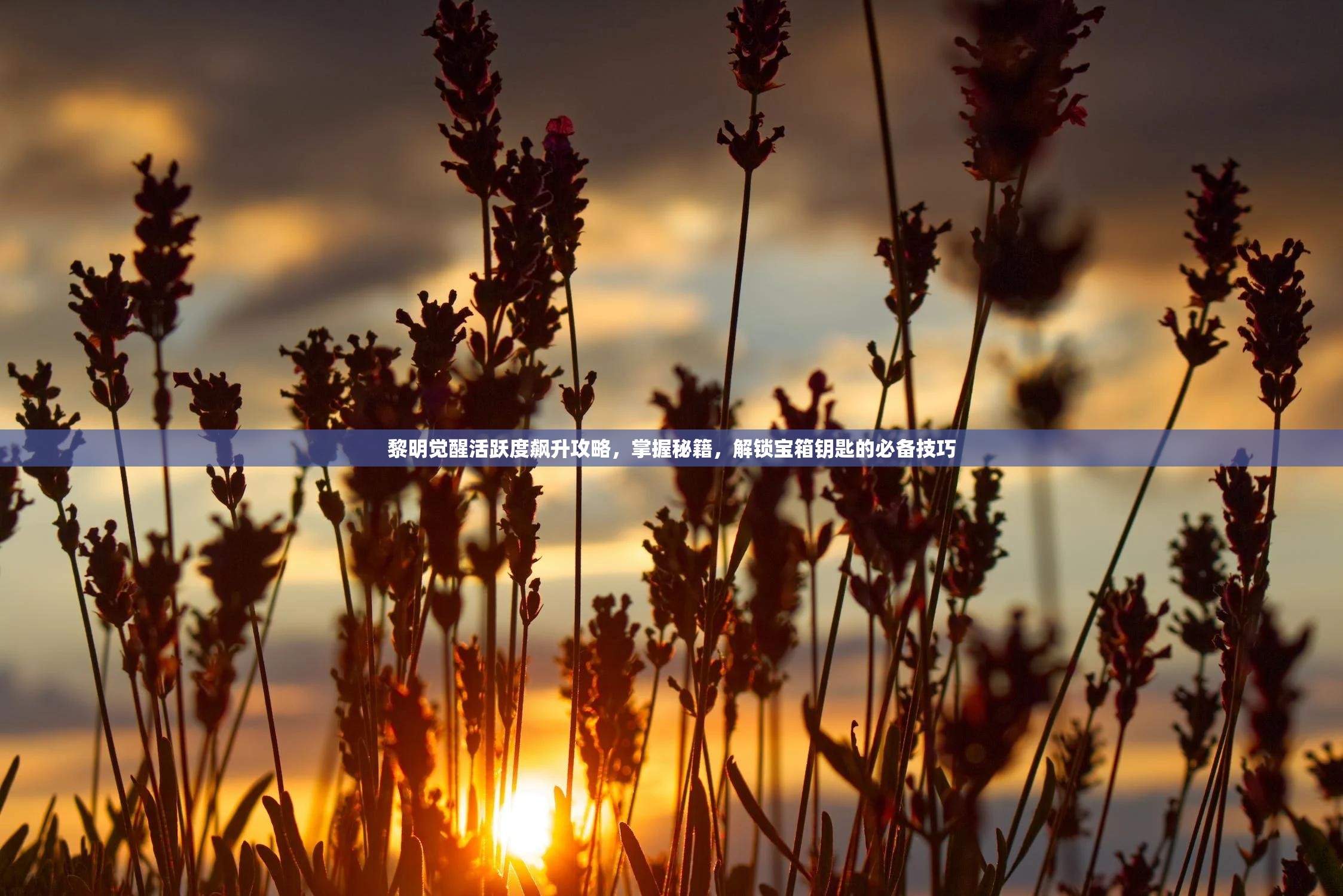 黎明觉醒活跃度飙升攻略，掌握秘籍，解锁宝箱钥匙的必备技巧