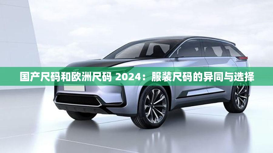 国产尺码和欧洲尺码 2024：服装尺码的异同与选择