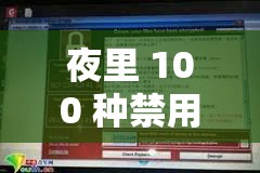 夜里 100 种禁用软件大全网站：全面解析与风险提示