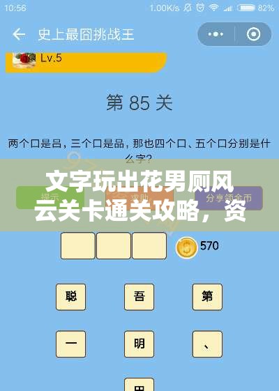文字玩出花男厕风云关卡通关攻略，资源管理技巧与策略的重要性解析