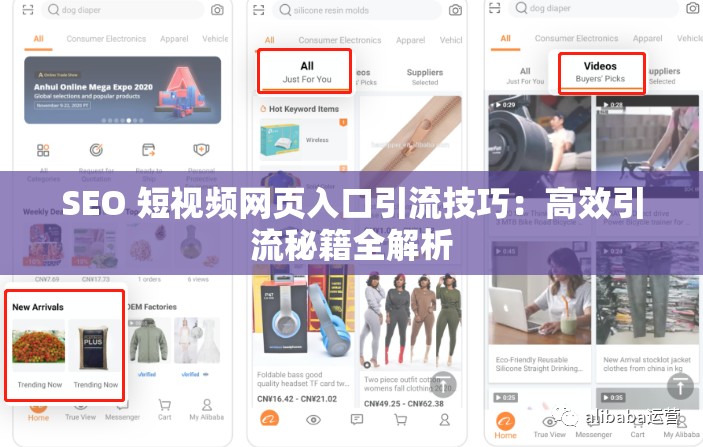 SEO 短视频网页入口引流技巧：高效引流秘籍全解析