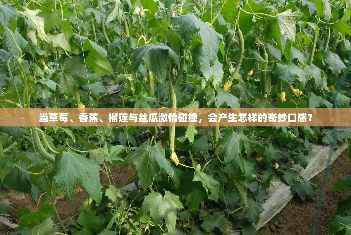 当草莓、香蕉、榴莲与丝瓜激情碰撞，会产生怎样的奇妙口感？