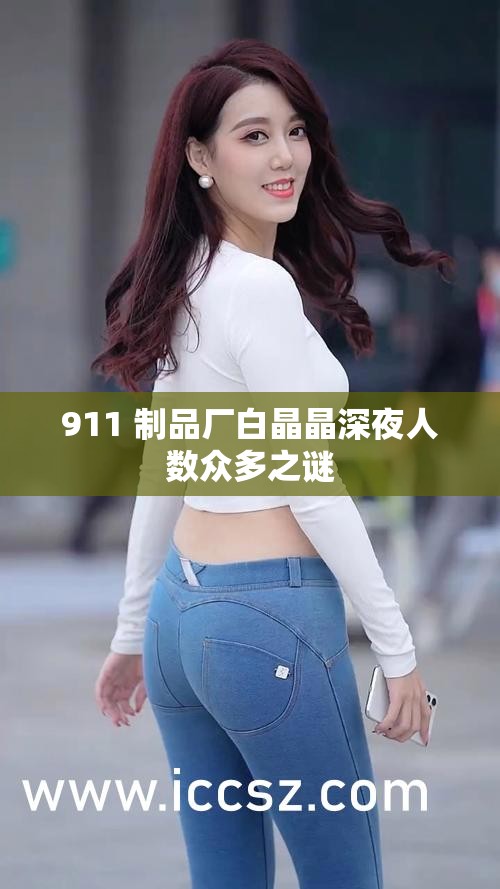 911 制品厂白晶晶深夜人数众多之谜