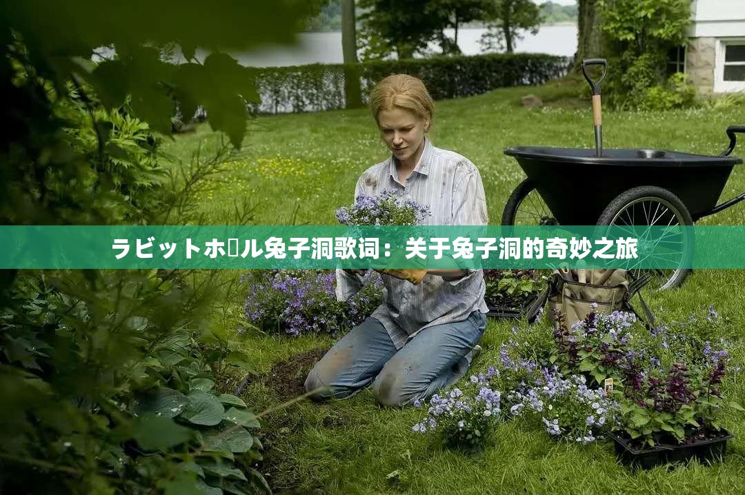 ラビットホール兔子洞歌词：关于兔子洞的奇妙之旅