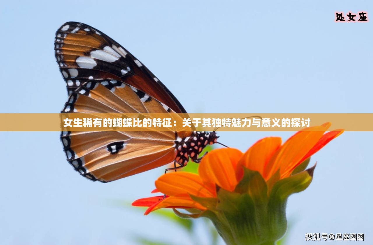 女生稀有的蝴蝶比的特征：关于其独特魅力与意义的探讨