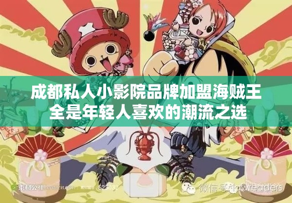 成都私人小影院品牌加盟海贼王 全是年轻人喜欢的潮流之选