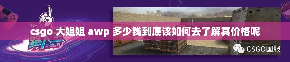 csgo 大姐姐 awp 多少钱到底该如何去了解其价格呢
