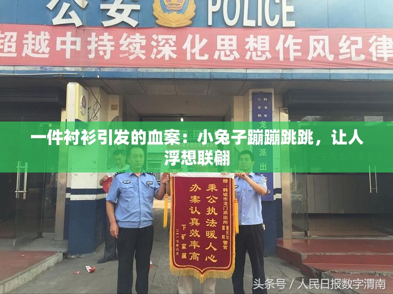 一件衬衫引发的血案：小兔子蹦蹦跳跳，让人浮想联翩