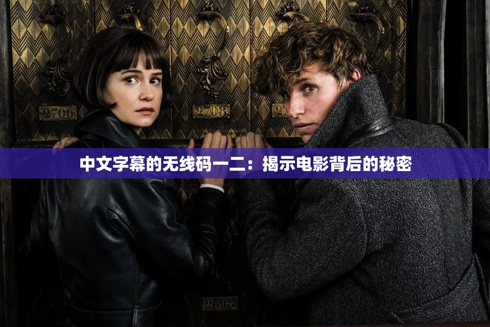中文字幕的无线码一二：揭示电影背后的秘密
