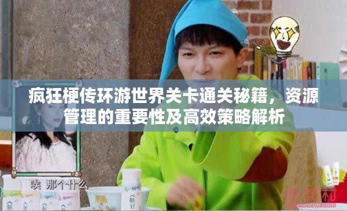 疯狂梗传环游世界关卡通关秘籍，资源管理的重要性及高效策略解析