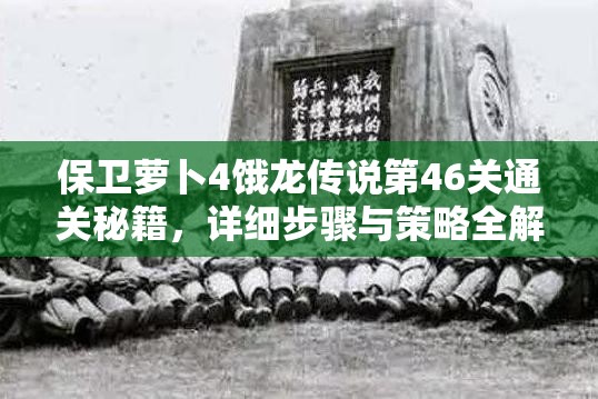 保卫萝卜4饿龙传说第46关通关秘籍，详细步骤与策略全解析指南