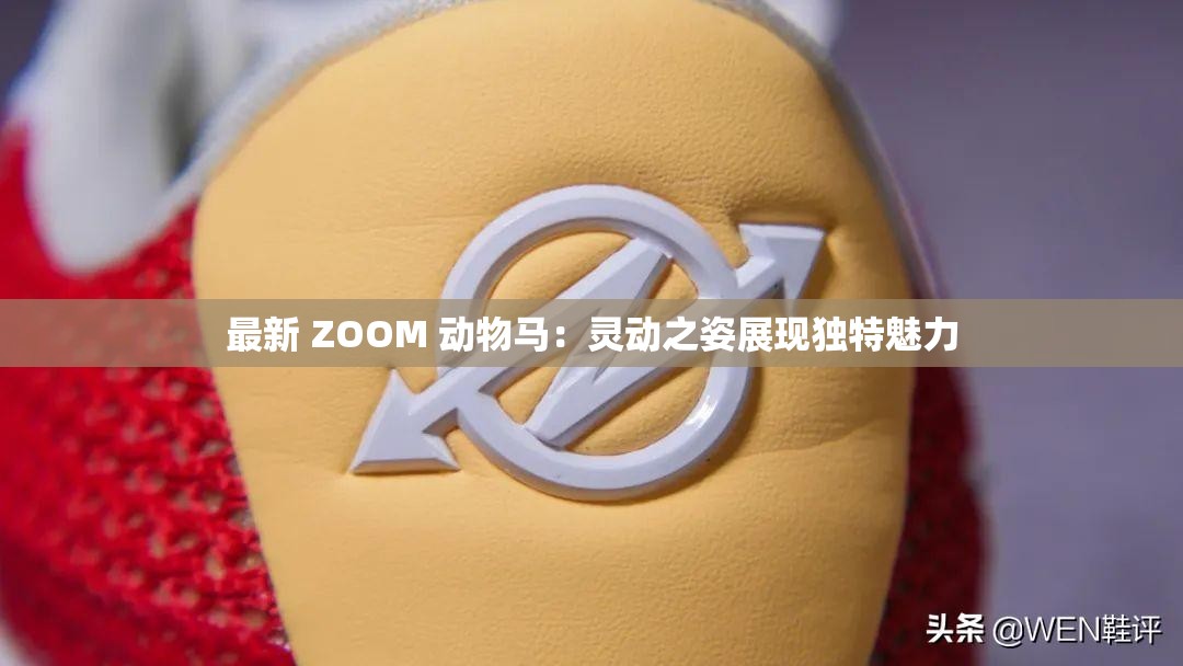 最新 ZOOM 动物马：灵动之姿展现独特魅力