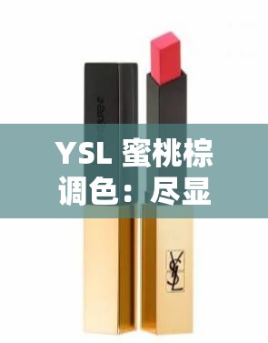 YSL 蜜桃棕调色：尽显优雅气质与独特魅力的时尚色彩之选