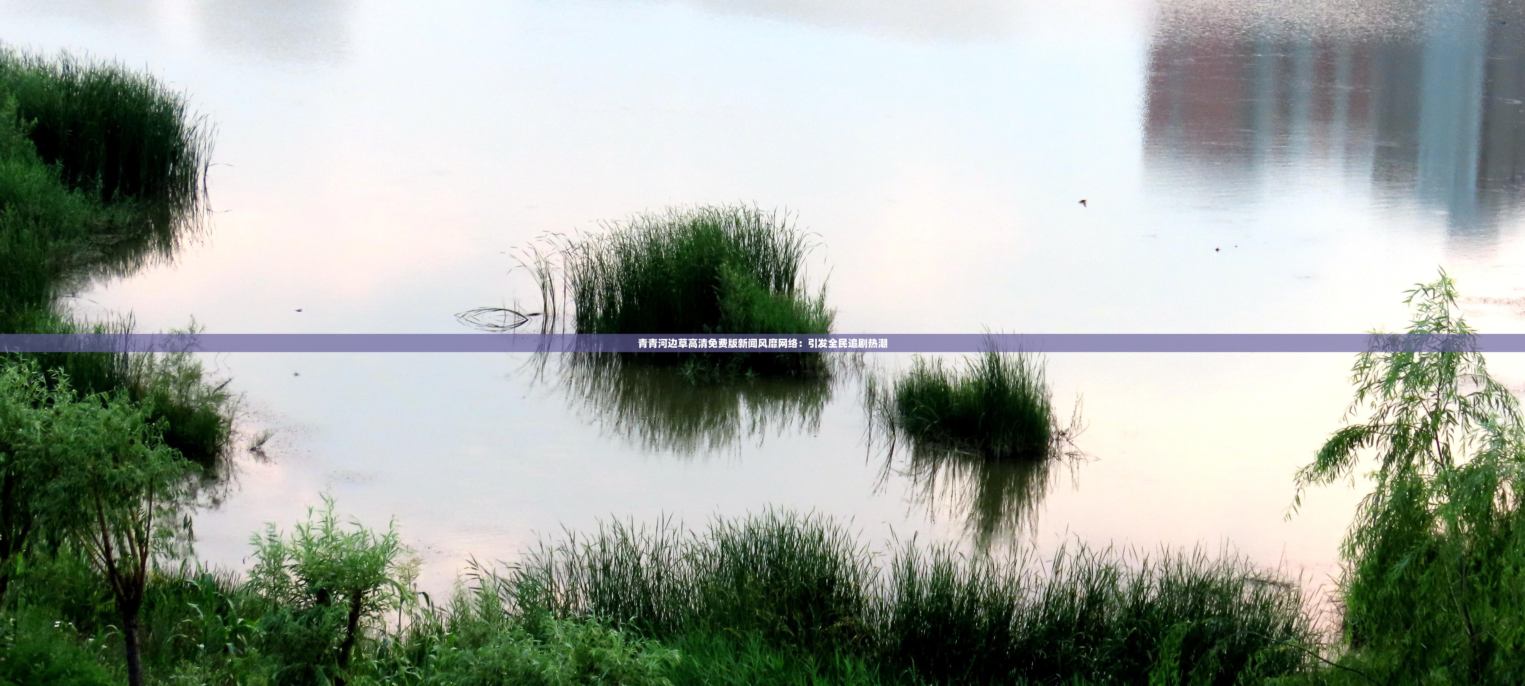 青青河边草高清免费版新闻风靡网络：引发全民追剧热潮