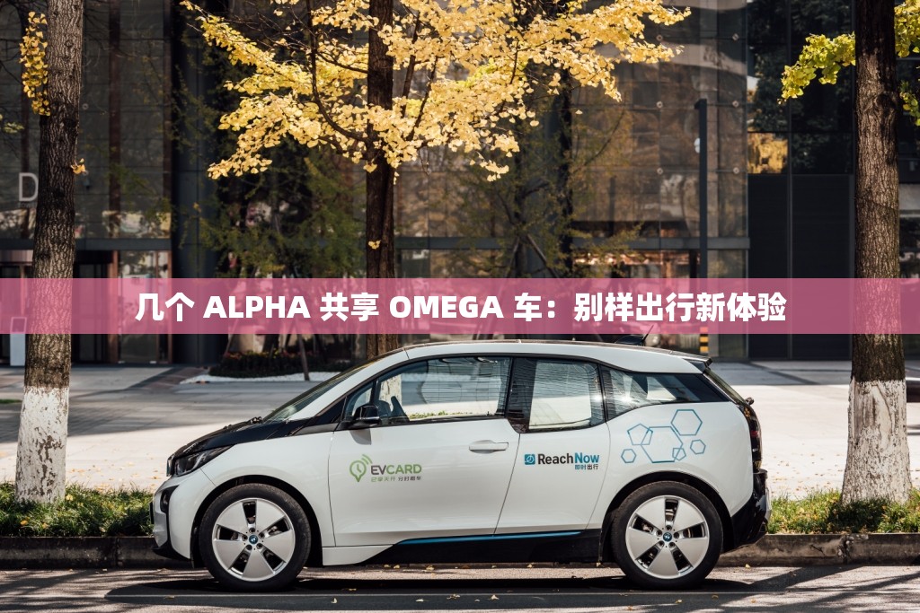 几个 ALPHA 共享 OMEGA 车：别样出行新体验