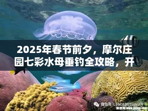 2025年春节前夕，摩尔庄园七彩水母垂钓全攻略，开启珍稀水母探索奇妙之旅