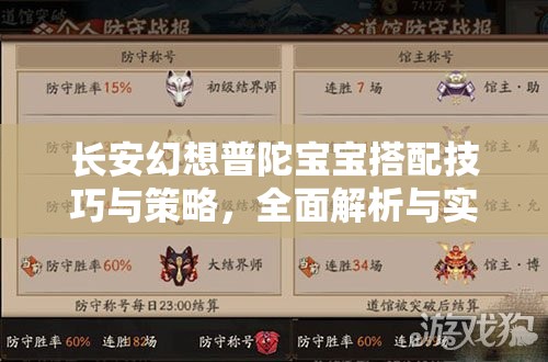 长安幻想普陀宝宝搭配技巧与策略，全面解析与实战指南