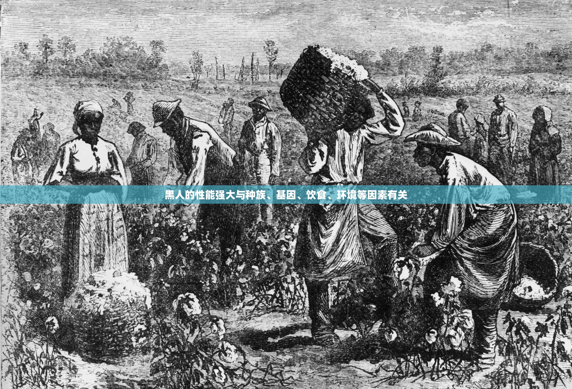黑人的性能强大与种族、基因、饮食、环境等因素有关