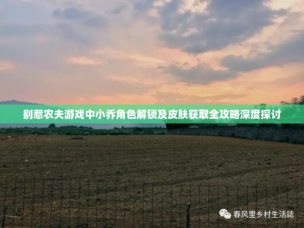 别惹农夫游戏中小乔角色解锁及皮肤获取全攻略深度探讨