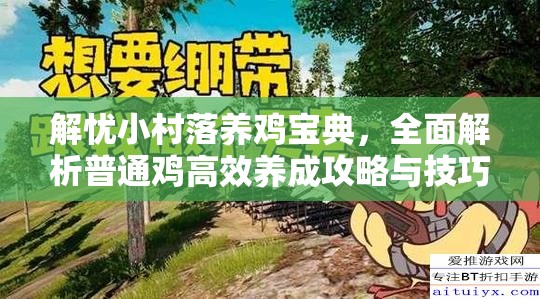 解忧小村落养鸡宝典，全面解析普通鸡高效养成攻略与技巧