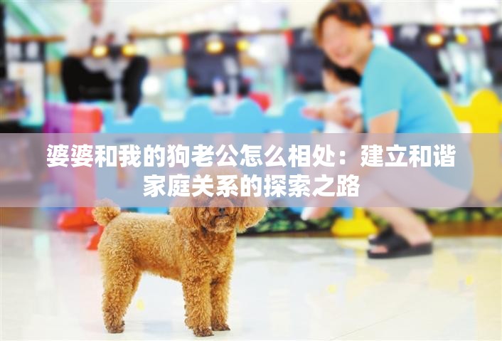 婆婆和我的狗老公怎么相处：建立和谐家庭关系的探索之路