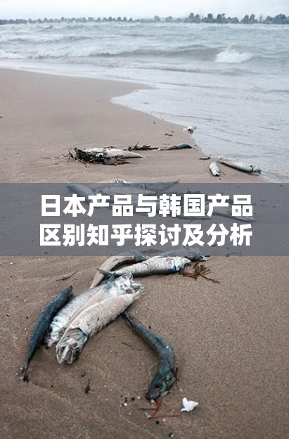 日本产品与韩国产品区别知乎探讨及分析