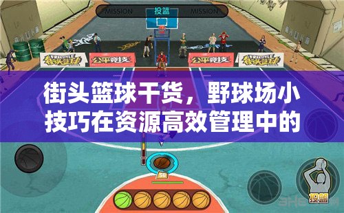 街头篮球干货，野球场小技巧在资源高效管理中的重要性及应用策略