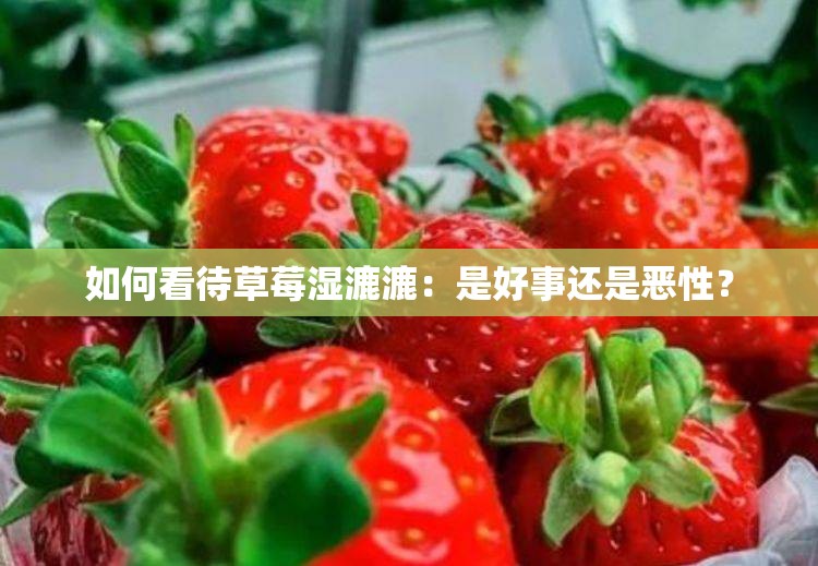 如何看待草莓湿漉漉：是好事还是恶性？