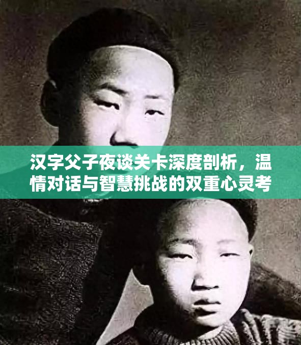 汉字父子夜谈关卡深度剖析，温情对话与智慧挑战的双重心灵考验