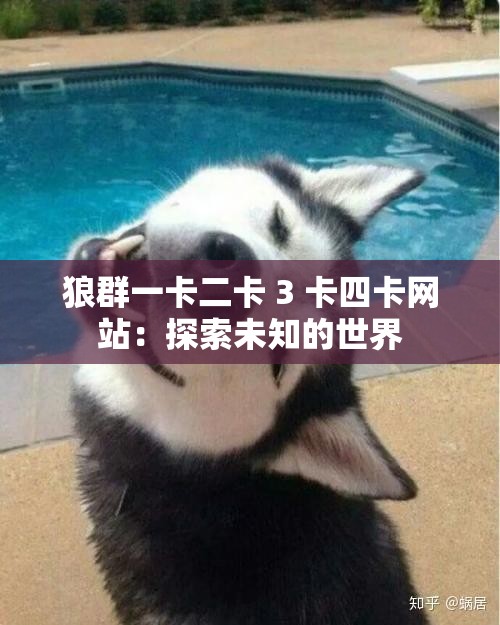 狼群一卡二卡 3 卡四卡网站：探索未知的世界