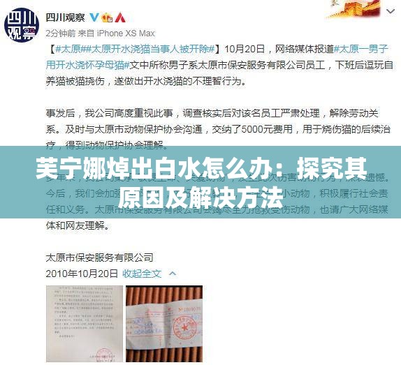 芙宁娜焯出白水怎么办：探究其原因及解决方法