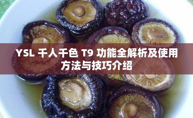 YSL 千人千色 T9 功能全解析及使用方法与技巧介绍