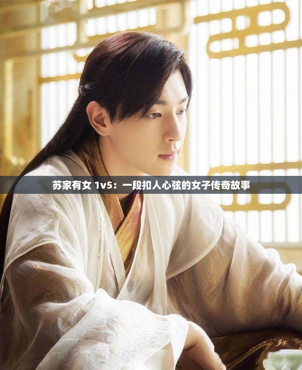 苏家有女 1v5：一段扣人心弦的女子传奇故事