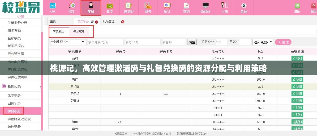 桃源记，高效管理激活码与礼包兑换码的资源分配与利用策略