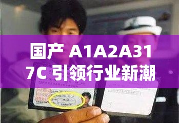 国产 A1A2A317C 引领行业新潮流