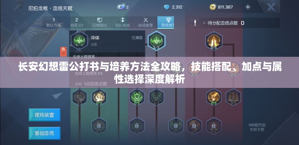 长安幻想雷公打书与培养方法全攻略，技能搭配、加点与属性选择深度解析