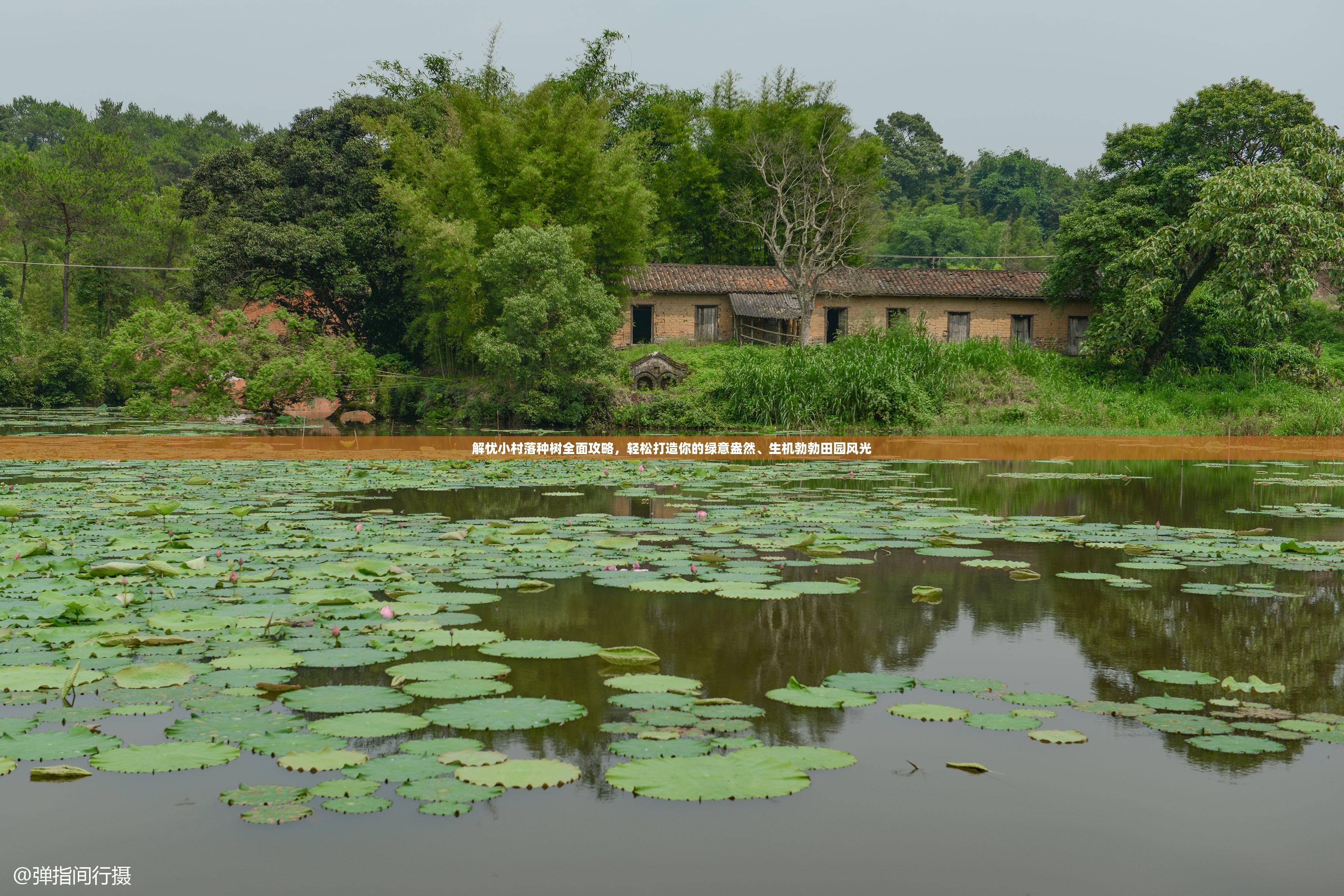 解忧小村落种树全面攻略，轻松打造你的绿意盎然、生机勃勃田园风光