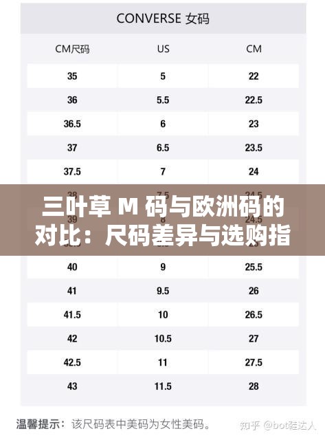 三叶草 M 码与欧洲码的对比：尺码差异与选购指南