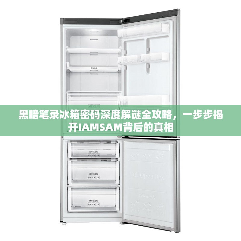 黑暗笔录冰箱密码深度解谜全攻略，一步步揭开IAMSAM背后的真相