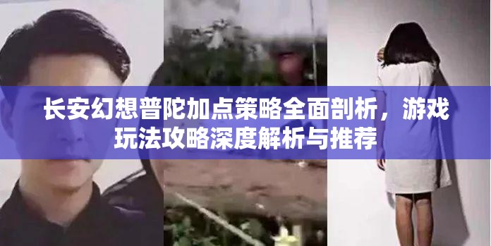 长安幻想普陀加点策略全面剖析，游戏玩法攻略深度解析与推荐