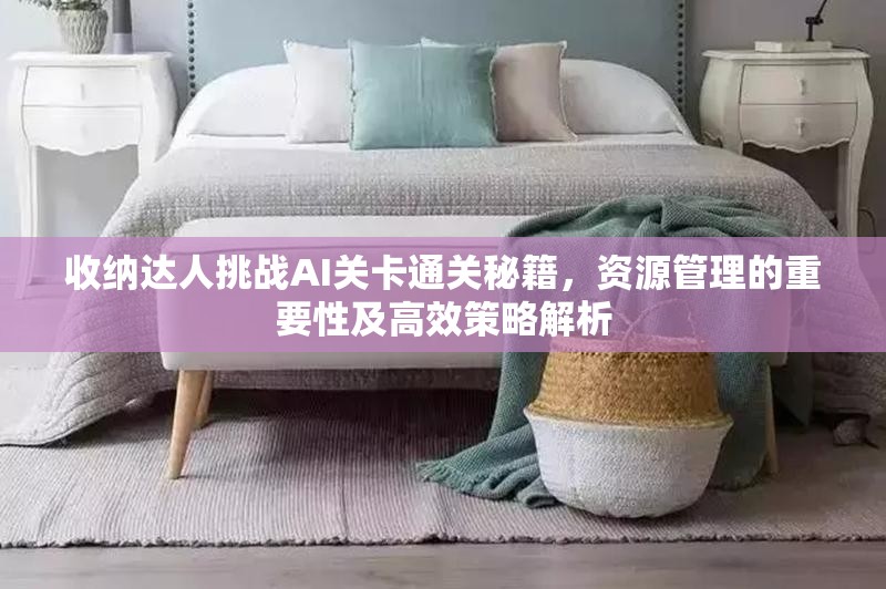 收纳达人挑战AI关卡通关秘籍，资源管理的重要性及高效策略解析