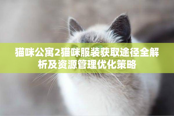 猫咪公寓2猫咪服装获取途径全解析及资源管理优化策略