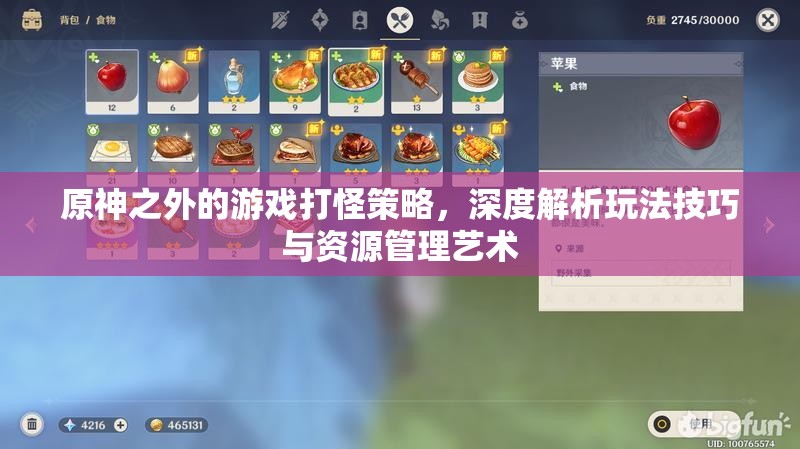 原神之外的游戏打怪策略，深度解析玩法技巧与资源管理艺术