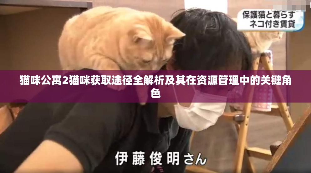 猫咪公寓2猫咪获取途径全解析及其在资源管理中的关键角色