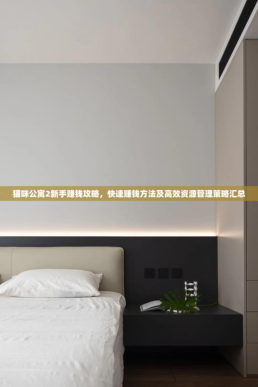 猫咪公寓2新手赚钱攻略，快速赚钱方法及高效资源管理策略汇总