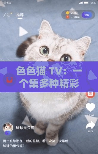 色色猫 TV：一个集多种精彩内容的视频平台