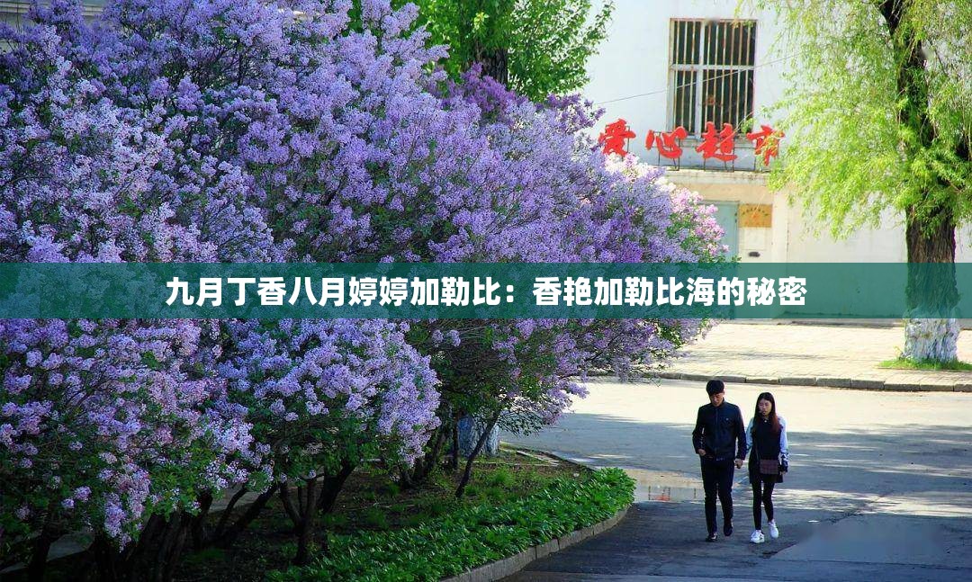 九月丁香八月婷婷加勒比：香艳加勒比海的秘密