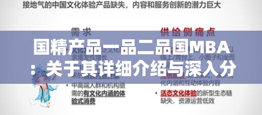 国精产品一品二品国MBA：关于其详细介绍与深入分析